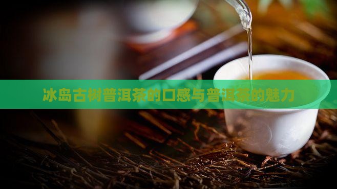 冰岛古树普洱茶味道如何