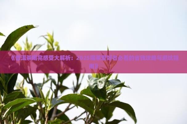 普洱茶喝完感受