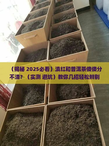 滇红与普洱茶的区分