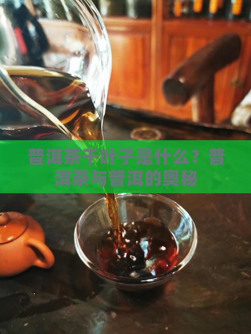 普洱茶干叶子是怎么回事