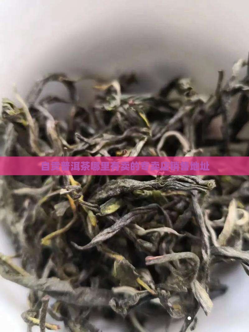 自贡普洱茶哪里有卖