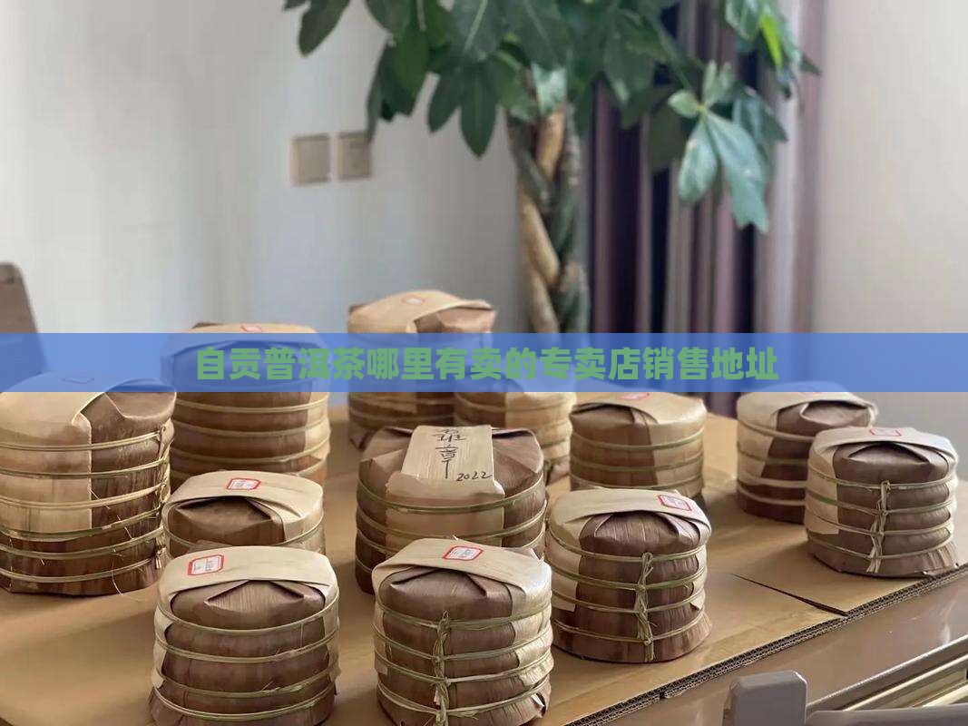 自贡普洱茶哪里有卖