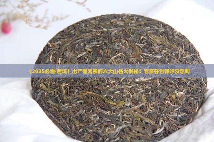 出产普洱茶的六大山名