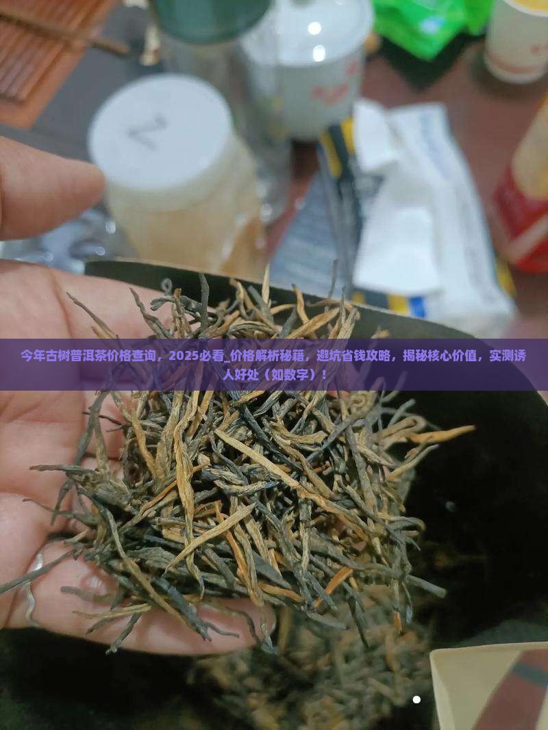 今年古树普洱茶价格查询