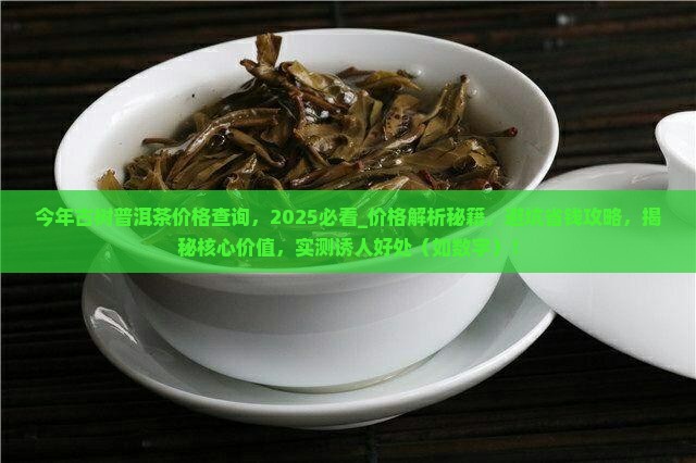 今年古树普洱茶价格查询