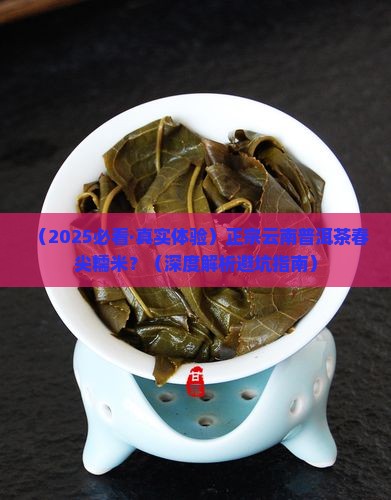 正宗云南普洱茶春尖糯米