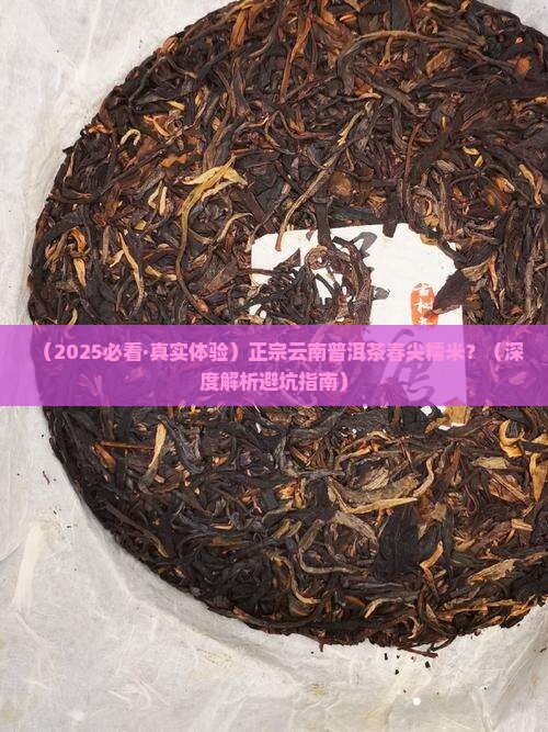 正宗云南普洱茶春尖糯米