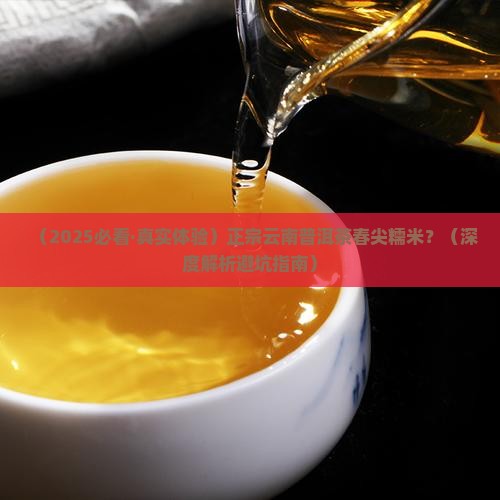 正宗云南普洱茶春尖糯米