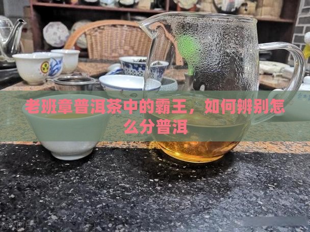 老班章普洱茶怎么分