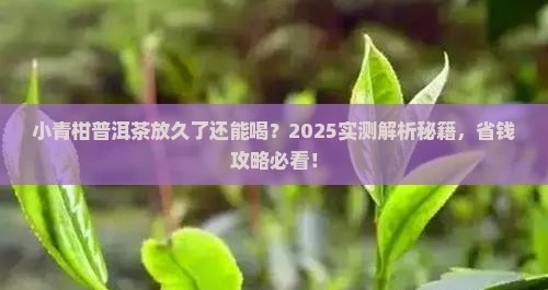 小青柑普洱茶放久了能喝吗