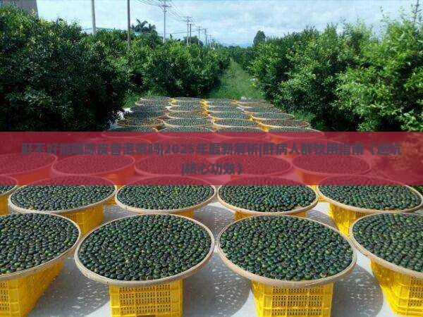 肝不好能喝陈皮普洱茶吗