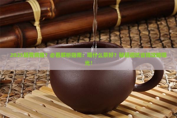有肠胃病的人喝什么茶好