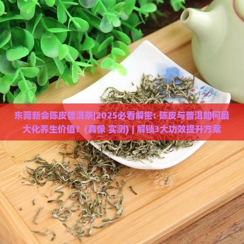 东莞新会陈皮普洱茶
