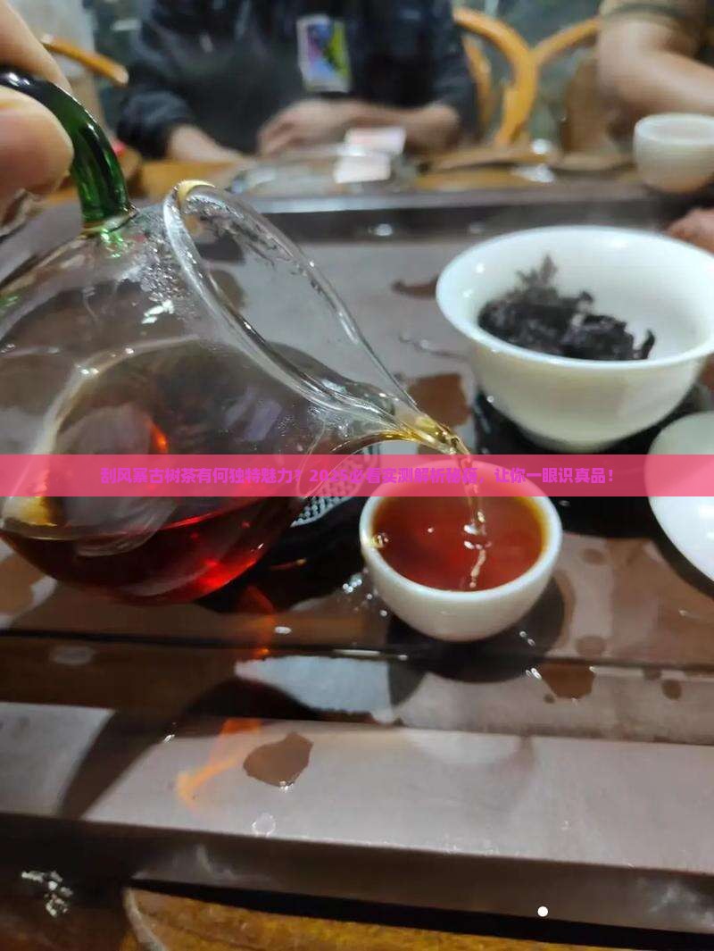 刮风寨古树茶叶的特点