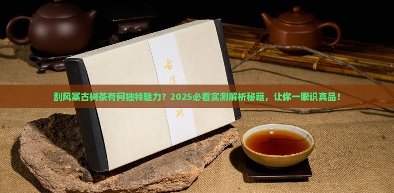 刮风寨古树茶叶的特点