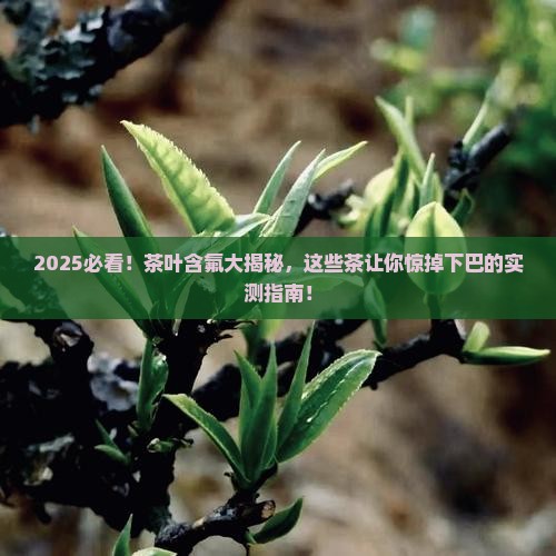 含氟高的茶叶排名