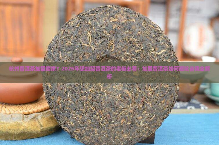 杭州普洱茶加盟商家