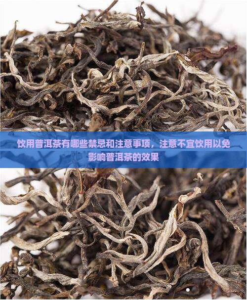 喝普洱茶有哪些注意事项