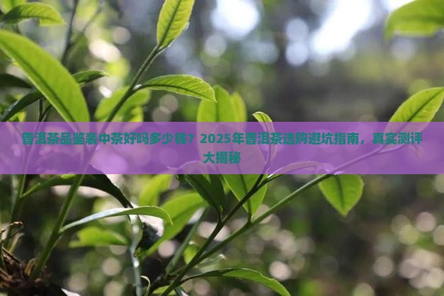 普洱茶品鉴装中茶好吗多少钱 普洱茶品鉴装中茶好吗多少钱