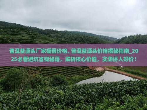 普洱茶源头厂家橱窗价格 普洱茶源头厂家橱窗价格