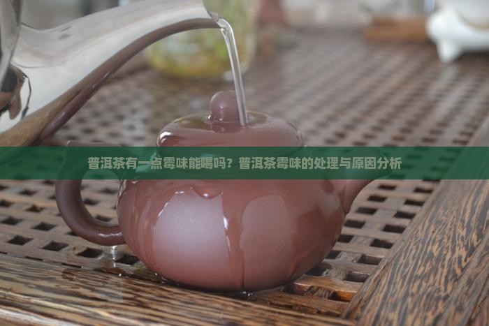 普洱茶有一点霉味能喝吗