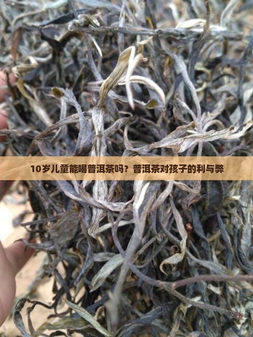10岁孩子能喝普洱茶吗