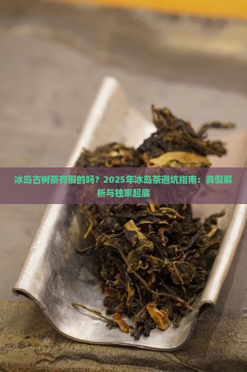 冰岛古树茶有假的吗