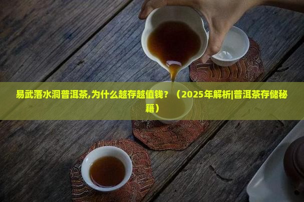 易武落水洞普洱茶博克