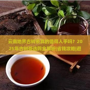 云南地界古树茶云南百年古树茶