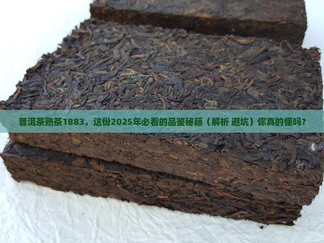 普洱茶熟茶1883