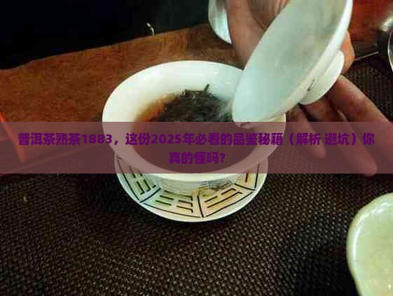 普洱茶熟茶1883