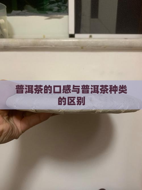 普洱茶各种茶口感区别