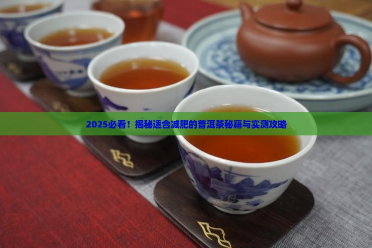适合减肥的普洱茶