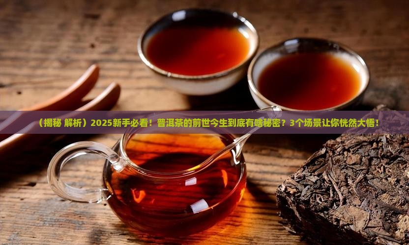 什么是普洱茶的前世今生