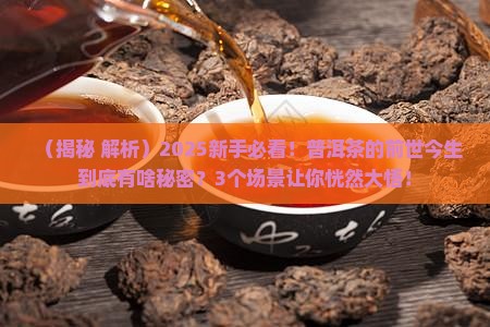 什么是普洱茶的前世今生