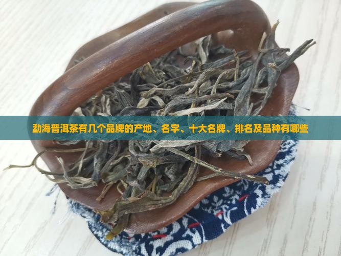 勐海普洱茶有几个品牌的
