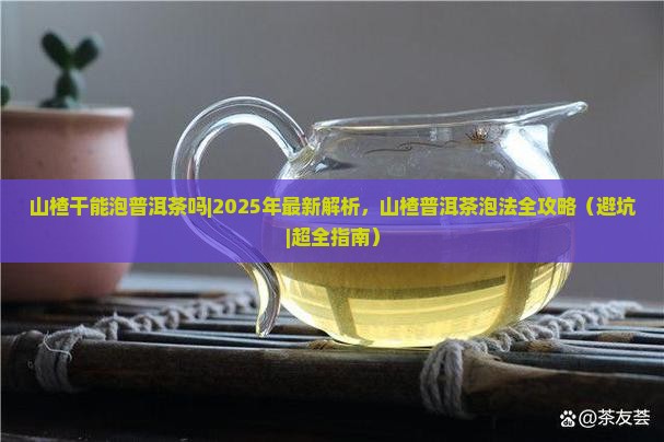 山楂干能泡普洱茶吗