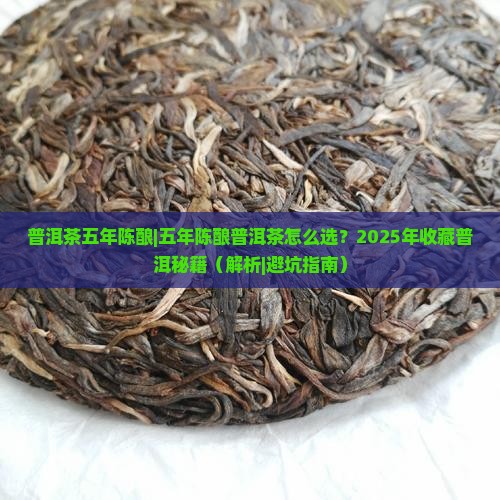 普洱茶五年陈酿