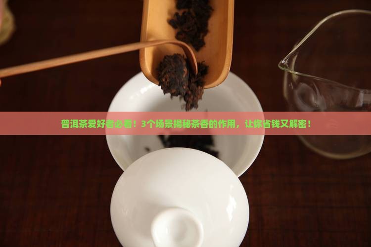 普洱茶的茶香有什么作用