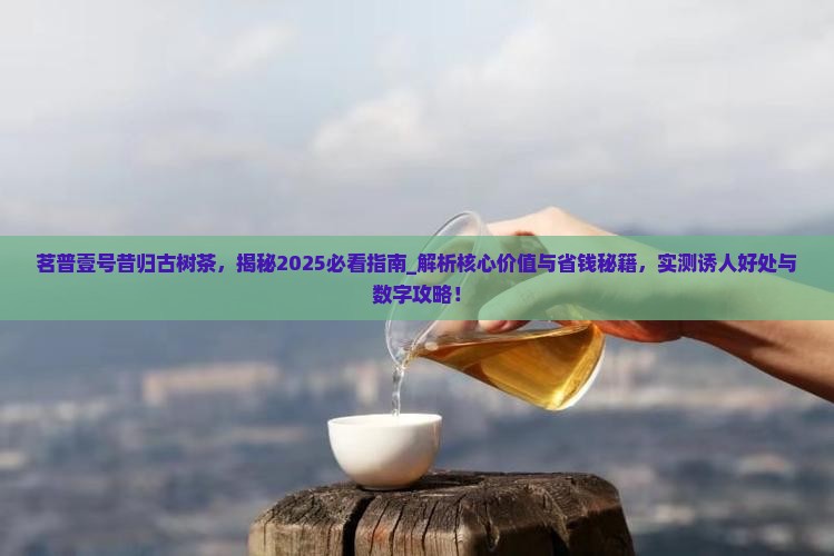 茗普壹号昔归古树茶
