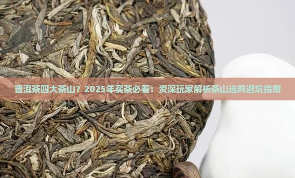 普洱茶四大茶山