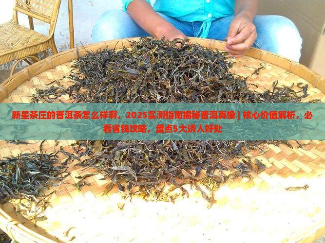 新星茶庄的普洱茶怎么样啊