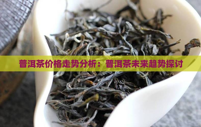 普洱茶价格什么时候大涨
