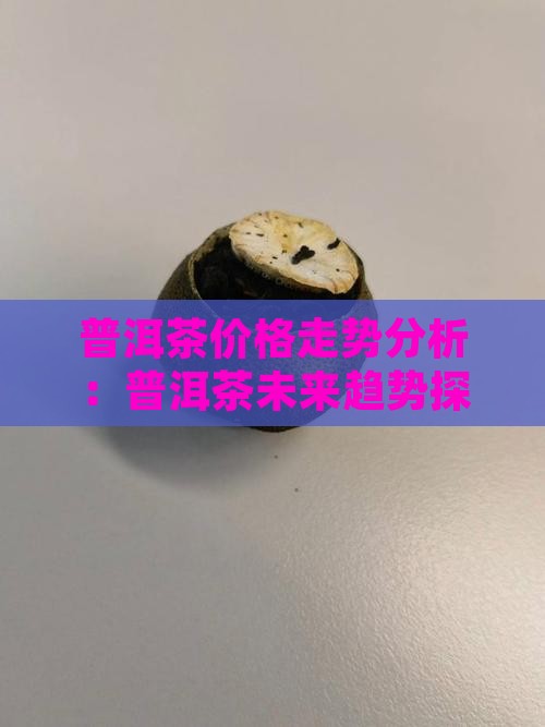普洱茶价格什么时候大涨