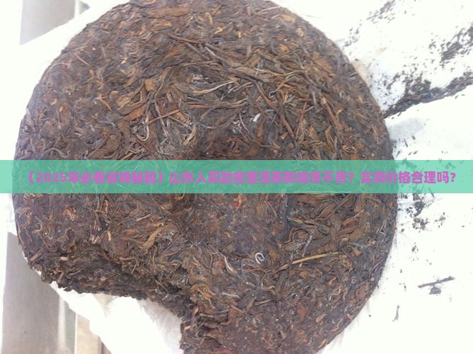 山东价格合理的勐舍普洱茶