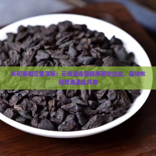 东和茶初见普洱茶
