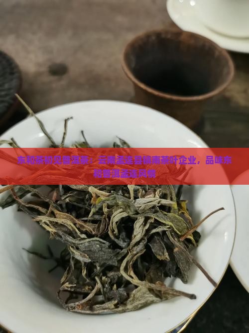 东和茶初见普洱茶
