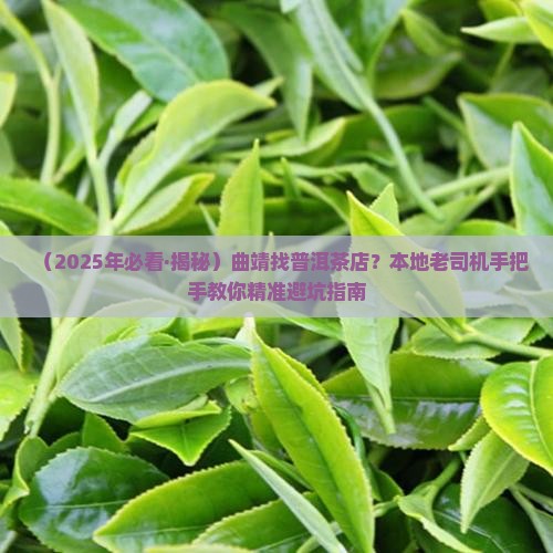 曲靖市普洱茶专卖店在哪里