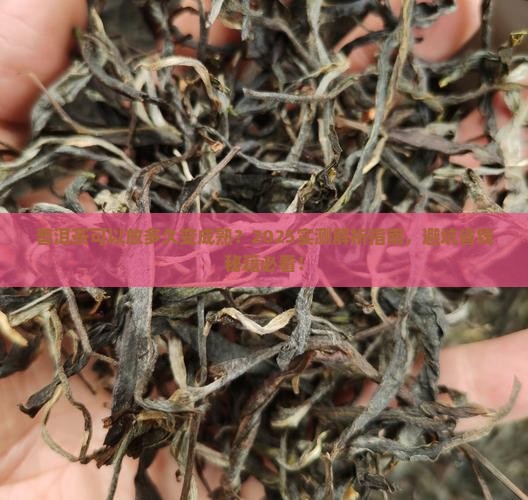 普洱茶可以放多久变成熟