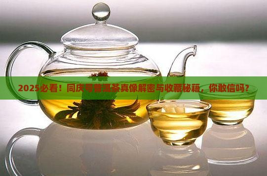 同庆号普洱茶有购买藏价值吗